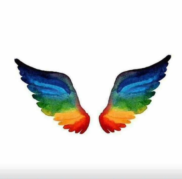 Illustratie vleugels in de regenboogkleuren